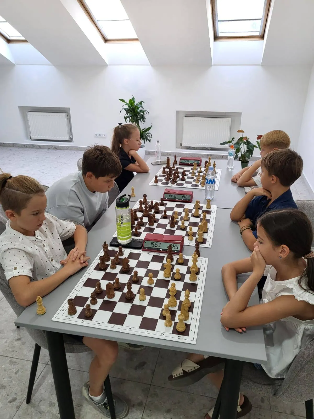 Фотогалерея ELA Chess Academy фото 22